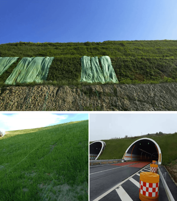 hydroseeder for highway slope green