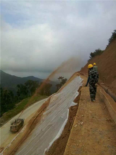 hydroseeding machine for green slope project