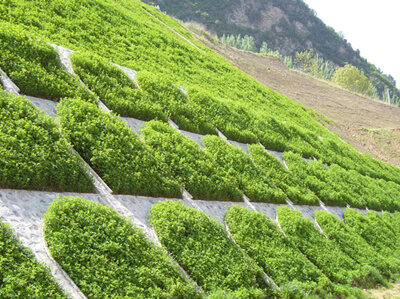 slope greening machine for planting seeds