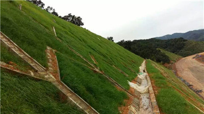 slope greening machine for planting seeds